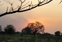 सुख म्हणजे काय असतं.? -एस.एस.देशमुख